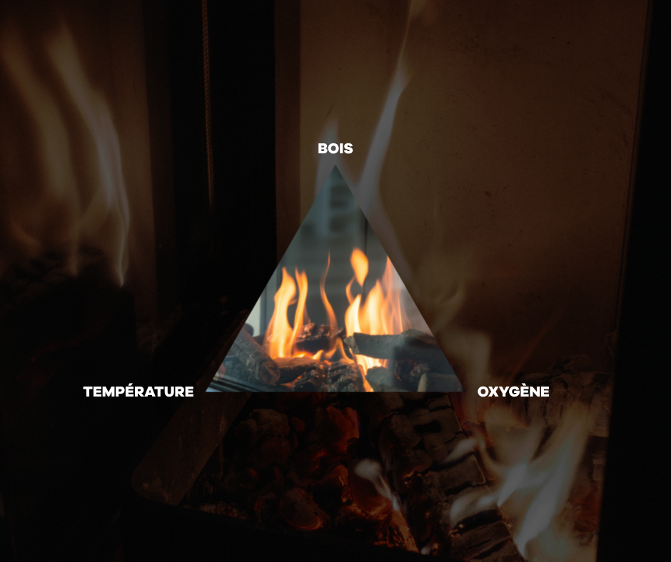 Le triangle du feu poêle à bois RIKA