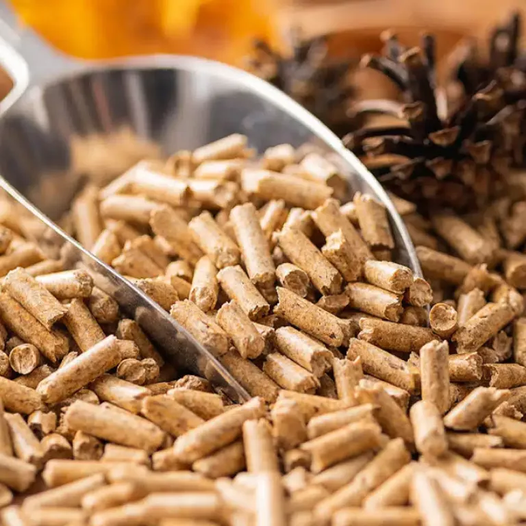 Comment choisir le bon pellet pour mon poêle RIKA : guide complet